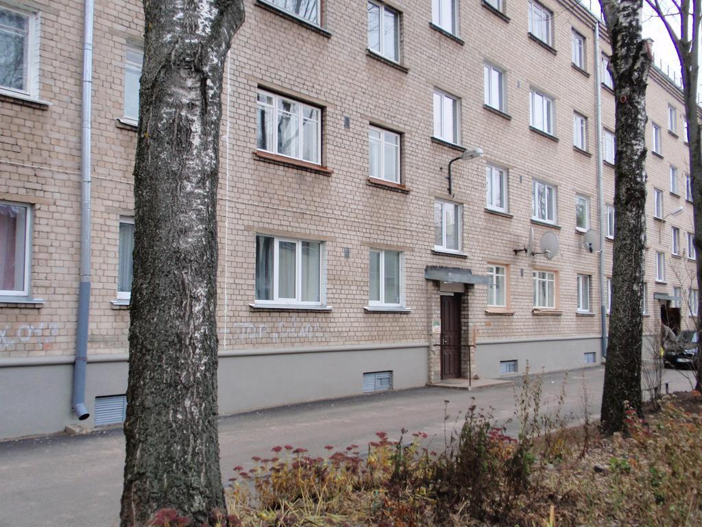 Central Cietoksna Street Apartment Daugavpils Eksteriør billede